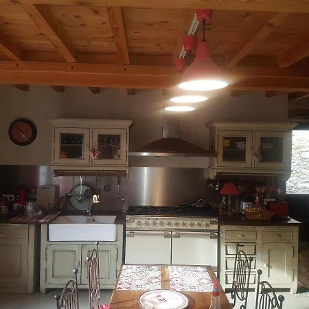Villa Misanid Ecrin De Verdure A 15Mm De La Cite De Carcassonne Mas-des-Cours エクステリア 写真