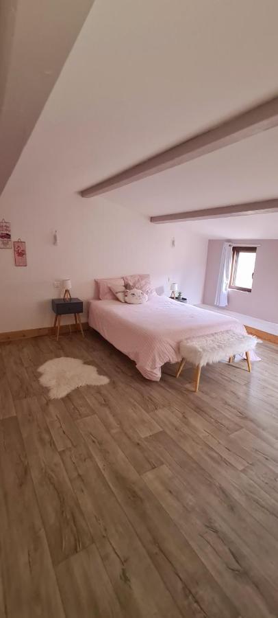 Villa Misanid Ecrin De Verdure A 15Mm De La Cite De Carcassonne Mas-des-Cours エクステリア 写真
